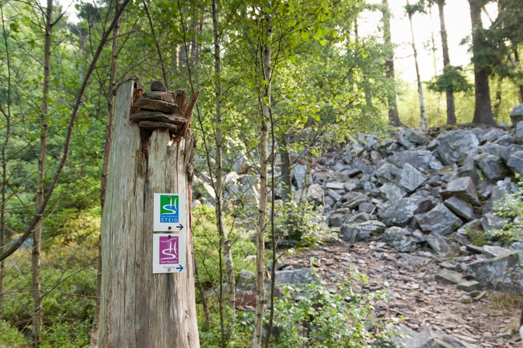 Wanderweg Markierung Felsenweg und Saar-Hunsrück-Steig an einem toten Baum